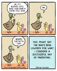 Image credit to the ever-amazing Fowl Language Comics