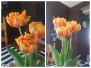 Thea can also say, "Flower". Check out these beautiful and unique tulips my Mum gave me for Easter.